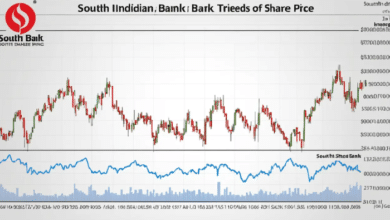 south indian bank share price